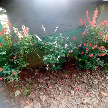 Munnar Home Stay Teadrops Plantation Villa 외부 사진