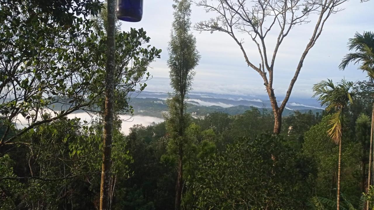 Munnar Home Stay Teadrops Plantation Villa 외부 사진
