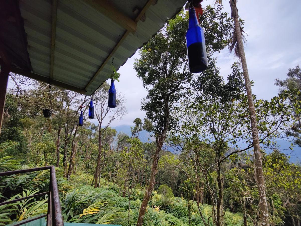 Munnar Home Stay Teadrops Plantation Villa 외부 사진