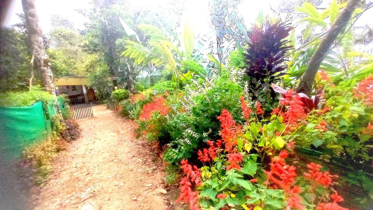 Munnar Home Stay Teadrops Plantation Villa 외부 사진