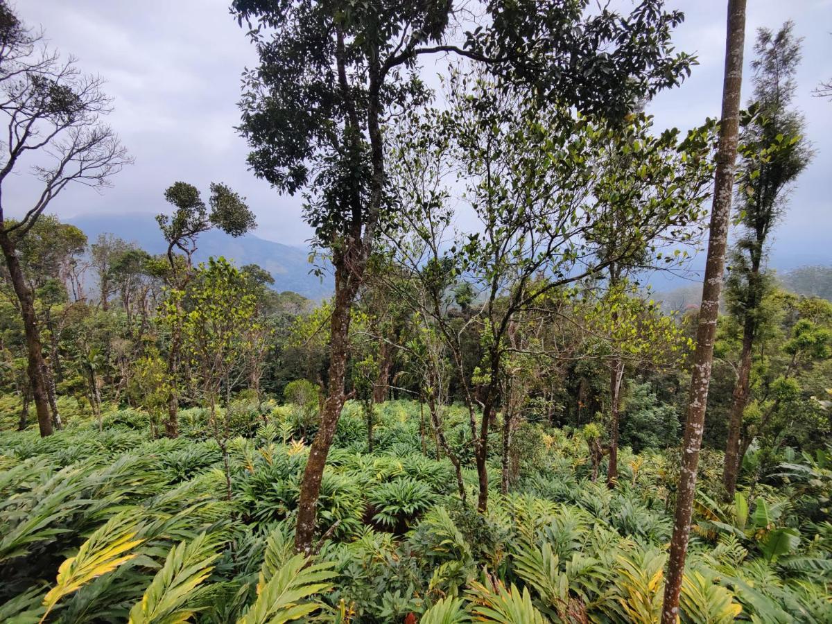 Munnar Home Stay Teadrops Plantation Villa 외부 사진
