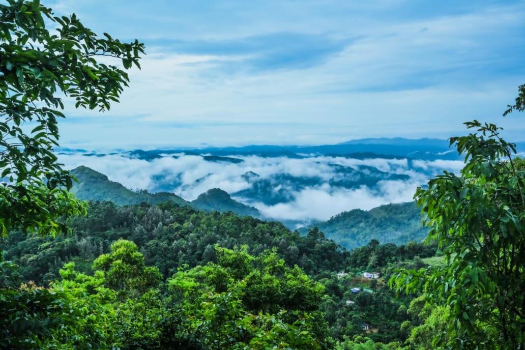 Munnar Home Stay Teadrops Plantation Villa 외부 사진