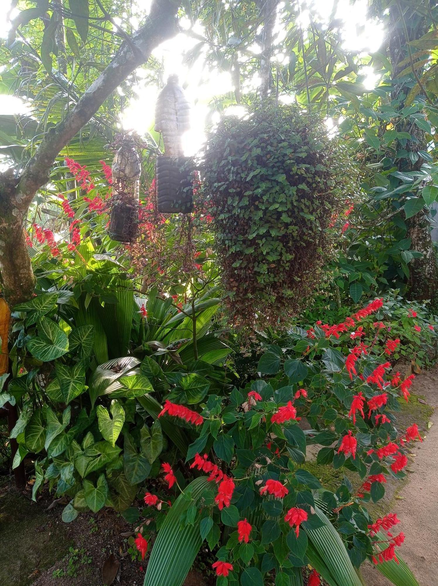 Munnar Home Stay Teadrops Plantation Villa 외부 사진