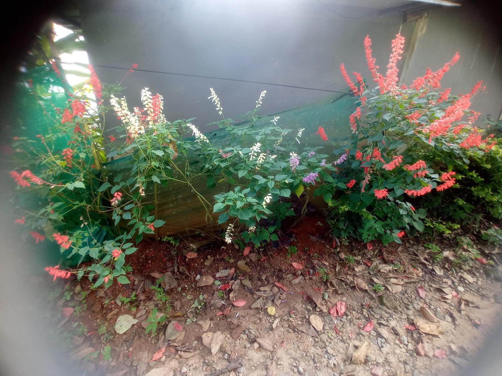Munnar Home Stay Teadrops Plantation Villa 외부 사진