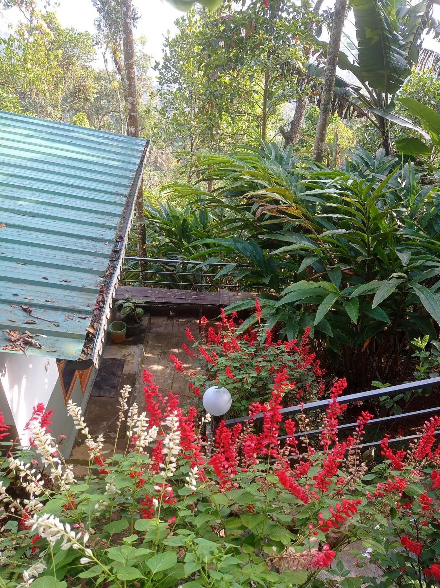 Munnar Home Stay Teadrops Plantation Villa 외부 사진